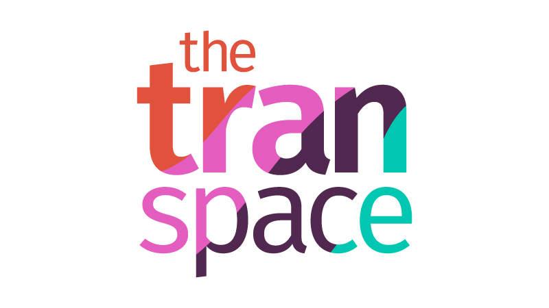 The Trans Space - Master Logo Design