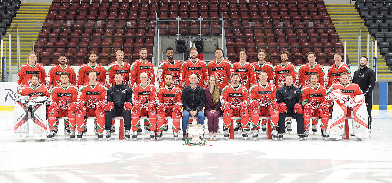 Dirty Little Serifs - Corporate Partners of the Cardiff Devils